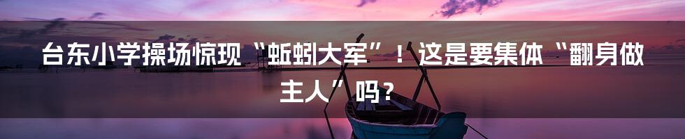 台东小学操场惊现“蚯蚓大军”！这是要集体“翻身做主人”吗？