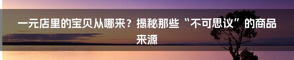 一元店里的宝贝从哪来？揭秘那些“不可思议”的商品来源