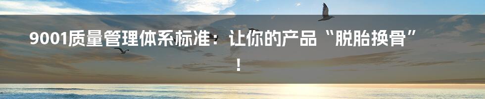 9001质量管理体系标准：让你的产品“脱胎换骨”！