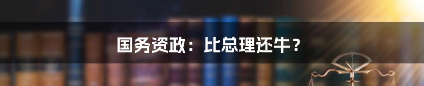 国务资政：比总理还牛？