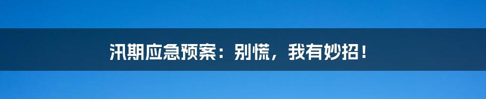 汛期应急预案：别慌，我有妙招！