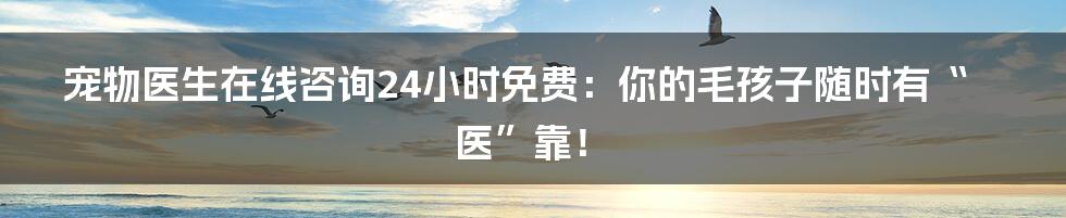 宠物医生在线咨询24小时免费：你的毛孩子随时有“医”靠！