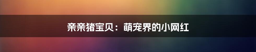 亲亲猪宝贝：萌宠界的小网红