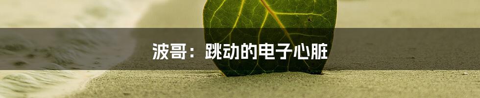 波哥：跳动的电子心脏