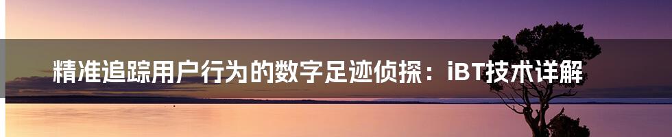 精准追踪用户行为的数字足迹侦探：iBT技术详解