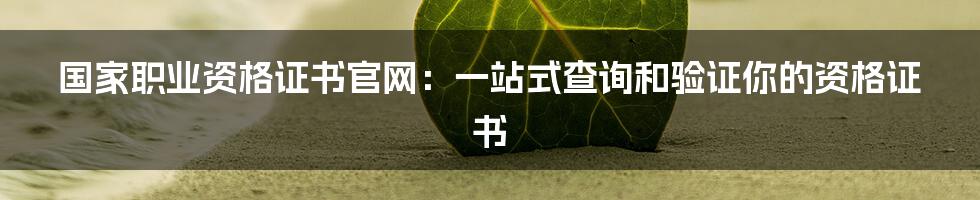 国家职业资格证书官网：一站式查询和验证你的资格证书