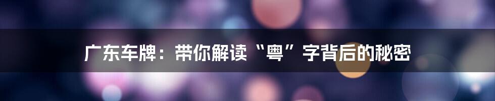 广东车牌：带你解读“粤”字背后的秘密