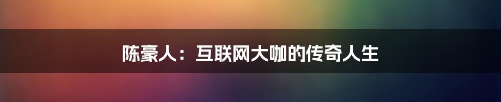 陈豪人：互联网大咖的传奇人生