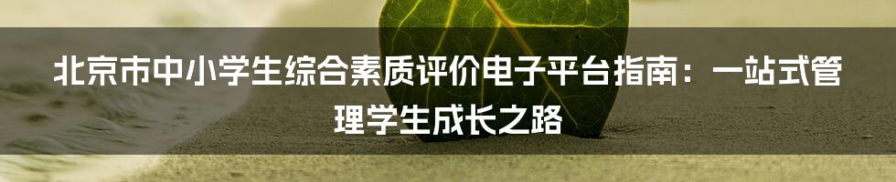 北京市中小学生综合素质评价电子平台指南：一站式管理学生成长之路