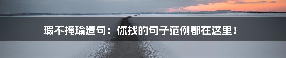 瑕不掩瑜造句：你找的句子范例都在这里！