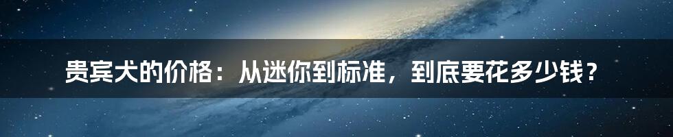 贵宾犬的价格：从迷你到标准，到底要花多少钱？