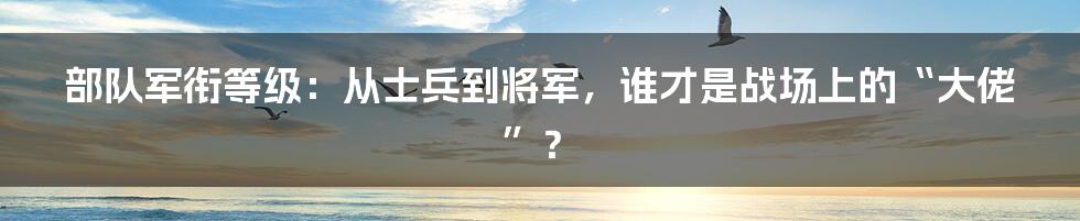 部队军衔等级：从士兵到将军，谁才是战场上的“大佬”？