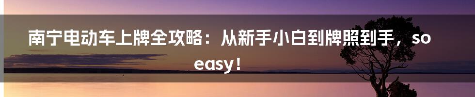 南宁电动车上牌全攻略：从新手小白到牌照到手，so easy！