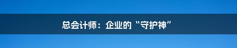 总会计师：企业的“守护神”