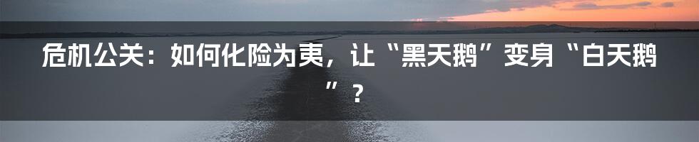 危机公关：如何化险为夷，让“黑天鹅”变身“白天鹅”？