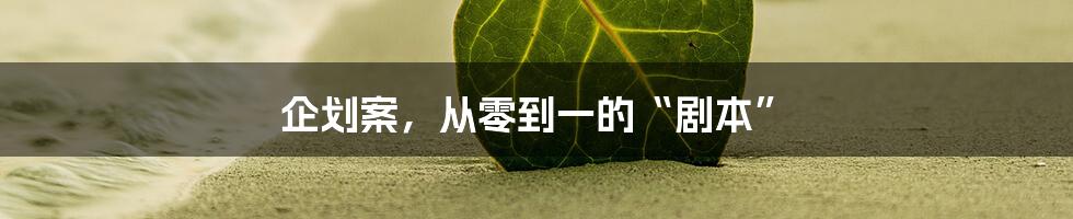 企划案，从零到一的“剧本”