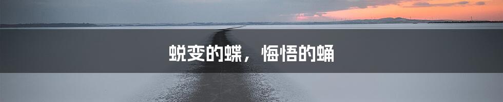 蜕变的蝶，悔悟的蛹