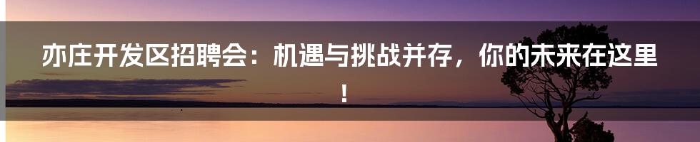 亦庄开发区招聘会：机遇与挑战并存，你的未来在这里！