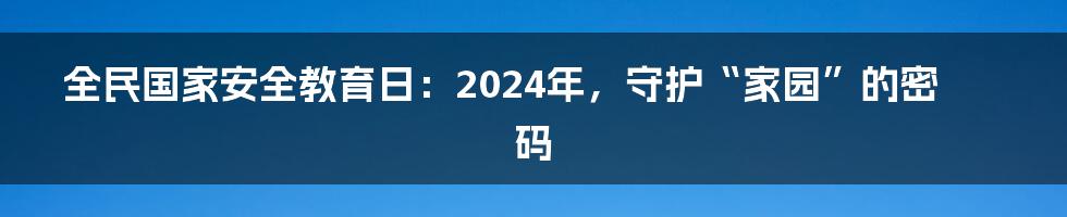 全民国家安全教育日：2024年，守护“家园”的密码