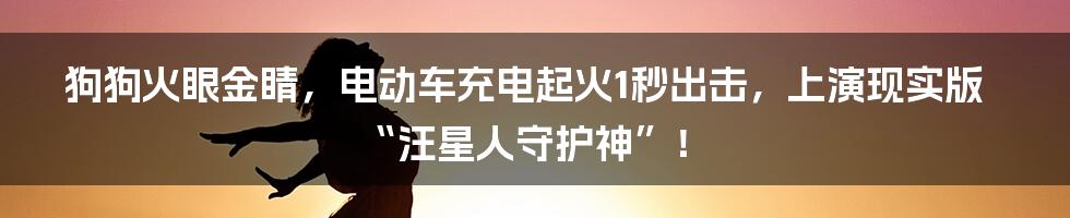 狗狗火眼金睛，电动车充电起火1秒出击，上演现实版“汪星人守护神”！