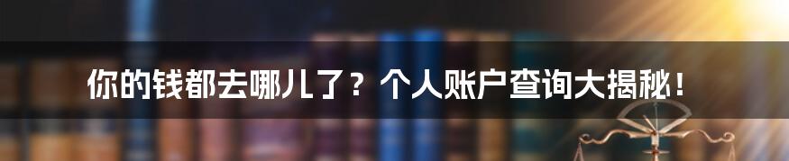 你的钱都去哪儿了？个人账户查询大揭秘！