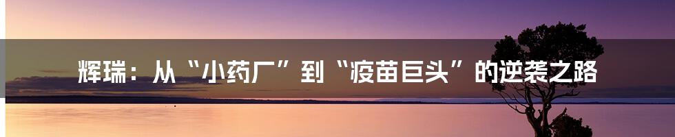 辉瑞：从“小药厂”到“疫苗巨头”的逆袭之路