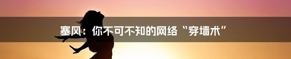 塞风：你不可不知的网络“穿墙术”