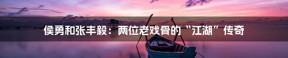 侯勇和张丰毅：两位老戏骨的“江湖”传奇