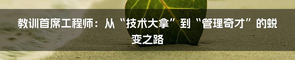 教训首席工程师：从“技术大拿”到“管理奇才”的蜕变之路