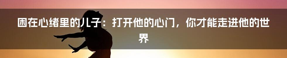 困在心绪里的儿子：打开他的心门，你才能走进他的世界