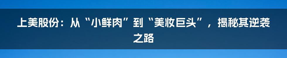 上美股份：从“小鲜肉”到“美妆巨头”，揭秘其逆袭之路