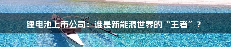 锂电池上市公司：谁是新能源世界的“王者”？