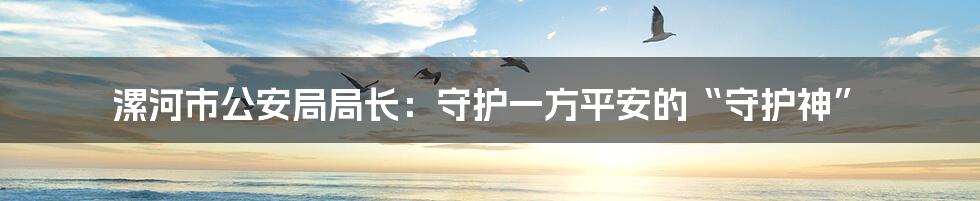 漯河市公安局局长：守护一方平安的“守护神”