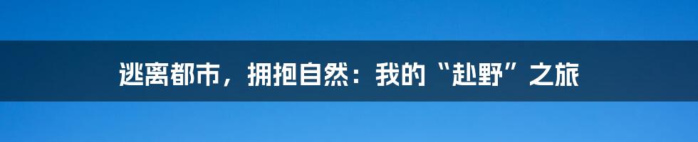 逃离都市，拥抱自然：我的“赴野”之旅