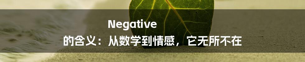 Negative 的含义：从数学到情感，它无所不在