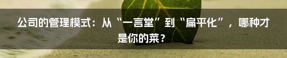 公司的管理模式：从“一言堂”到“扁平化”，哪种才是你的菜？