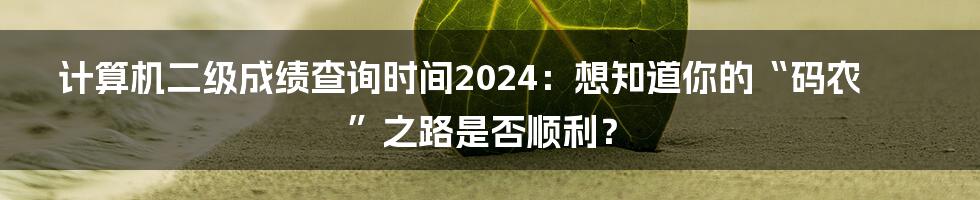 计算机二级成绩查询时间2024：想知道你的“码农”之路是否顺利？