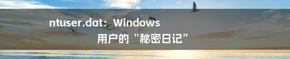 ntuser.dat：Windows 用户的“秘密日记”