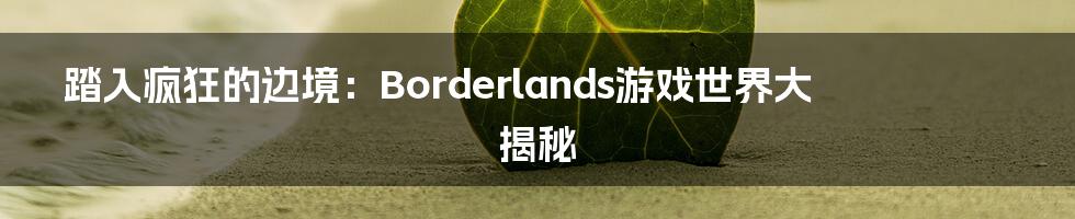 踏入疯狂的边境：Borderlands游戏世界大揭秘