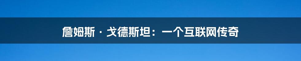 詹姆斯·戈德斯坦：一个互联网传奇