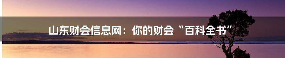 山东财会信息网：你的财会“百科全书”