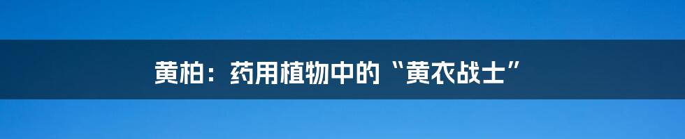 黄柏：药用植物中的“黄衣战士”