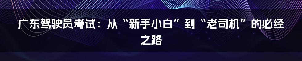 广东驾驶员考试：从“新手小白”到“老司机”的必经之路