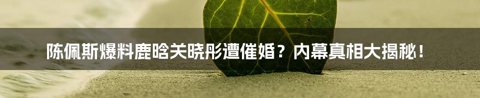 陈佩斯爆料鹿晗关晓彤遭催婚？内幕真相大揭秘！