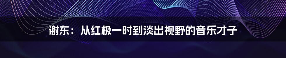 谢东：从红极一时到淡出视野的音乐才子