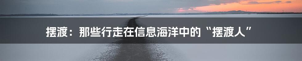 摆渡：那些行走在信息海洋中的“摆渡人”