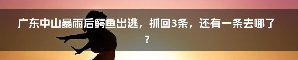 广东中山暴雨后鳄鱼出逃，抓回3条，还有一条去哪了？