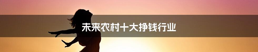 未来农村十大挣钱行业