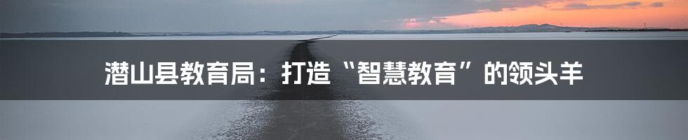 潜山县教育局：打造“智慧教育”的领头羊