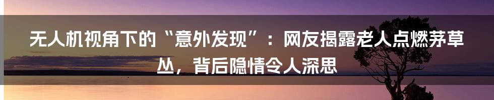 无人机视角下的“意外发现”：网友揭露老人点燃茅草丛，背后隐情令人深思